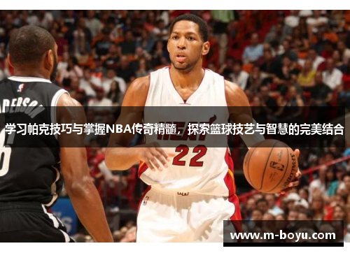 学习帕克技巧与掌握NBA传奇精髓，探索篮球技艺与智慧的完美结合