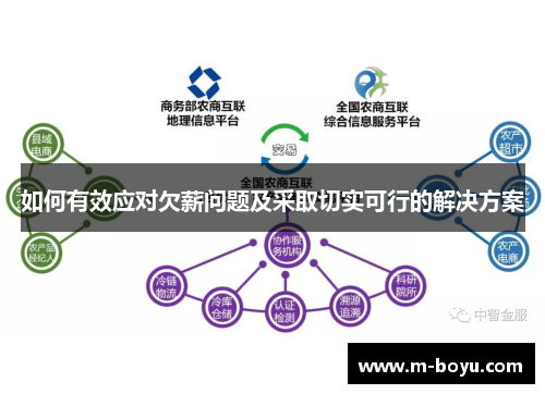 如何有效应对欠薪问题及采取切实可行的解决方案