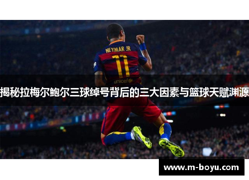 揭秘拉梅尔鲍尔三球绰号背后的三大因素与篮球天赋渊源